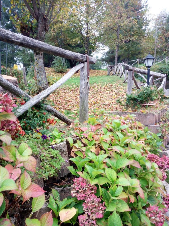 Bed and Breakfast Il Castagno Montemonaco Zewnętrze zdjęcie