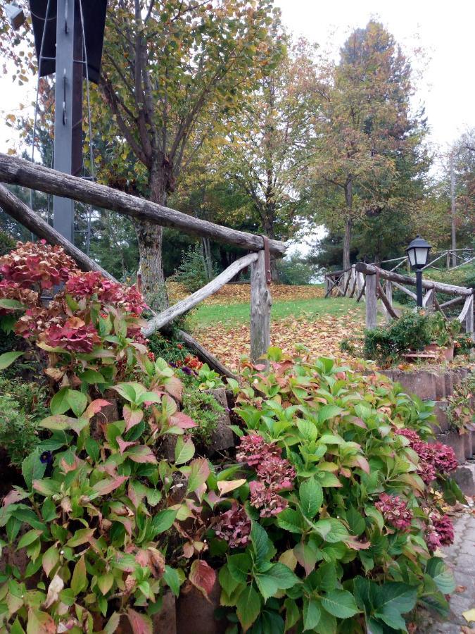 Bed and Breakfast Il Castagno Montemonaco Zewnętrze zdjęcie